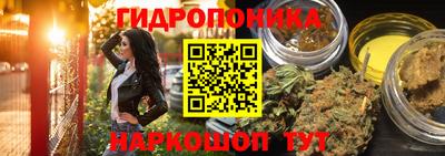 прущие грибы Ликино-Дулёво