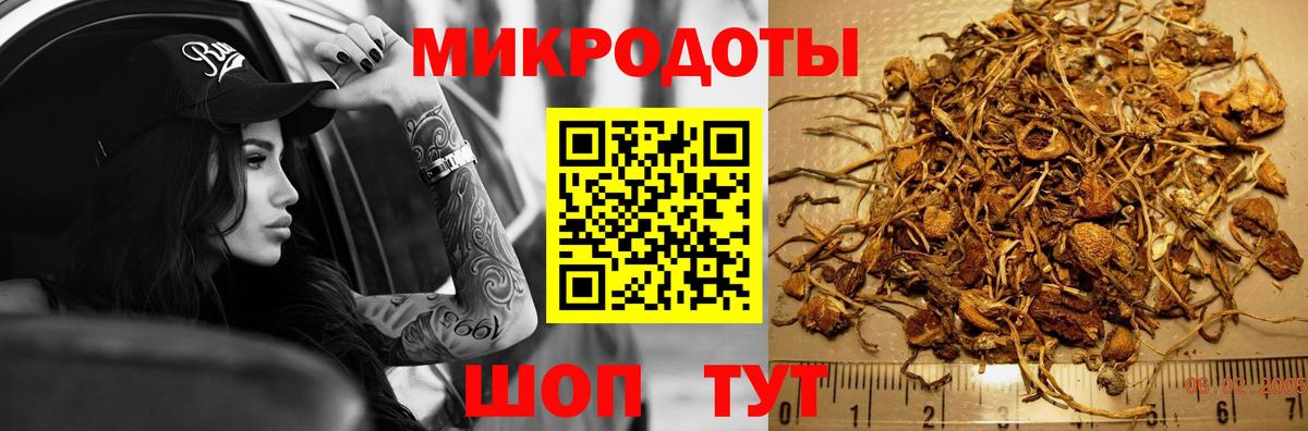 Псилоцибиновые грибы мухоморы Грязи